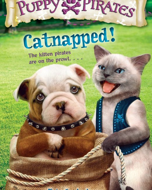 puppy-pirates-catnapped-2