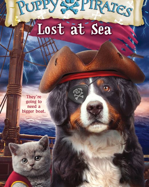 puppy-pirates-lost-at-sea-2