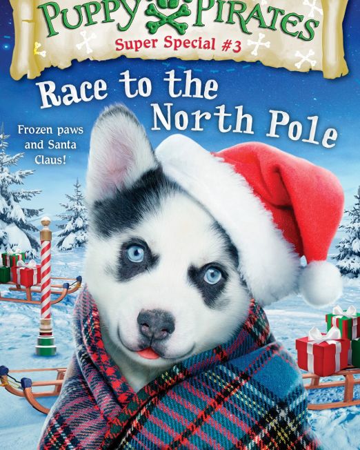 puppy-pirates-race-north-pole