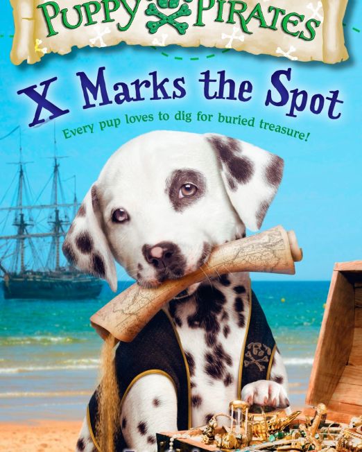 puppy-pirates-x-marks-the-spot-2