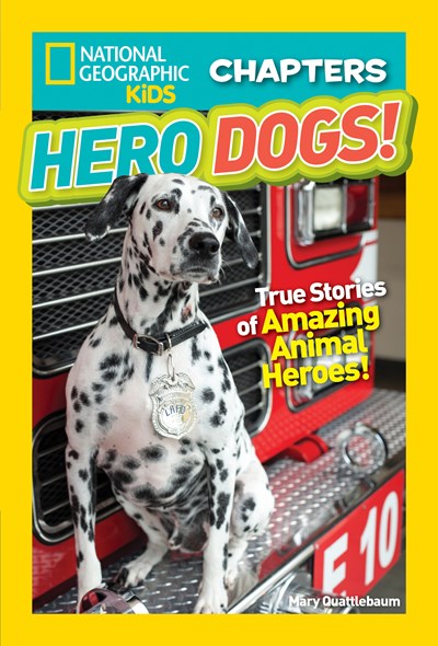 ngo hero dogs